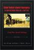 Global Radical Islamist Insurgency: Al Qaeda Network Focus Vol. I: 2007-2011: A Small Wars Journal Anthology