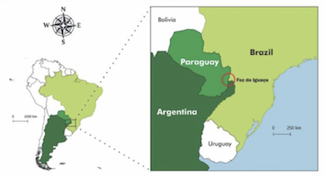 La Triple Frontera, refugio criminal Image