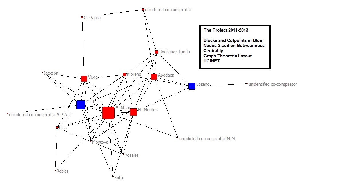 Transnational Cartels and Prison/Jail Gangs: A Social Network Analysis of Mexican Mafia (Eme) and La Familia Michoacana Conspiracy Cases Image