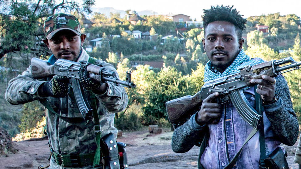 Analyzing Military Interventions and Insecurity in Amhara National Regional State of Ethiopia: Insights from Custodian Theory