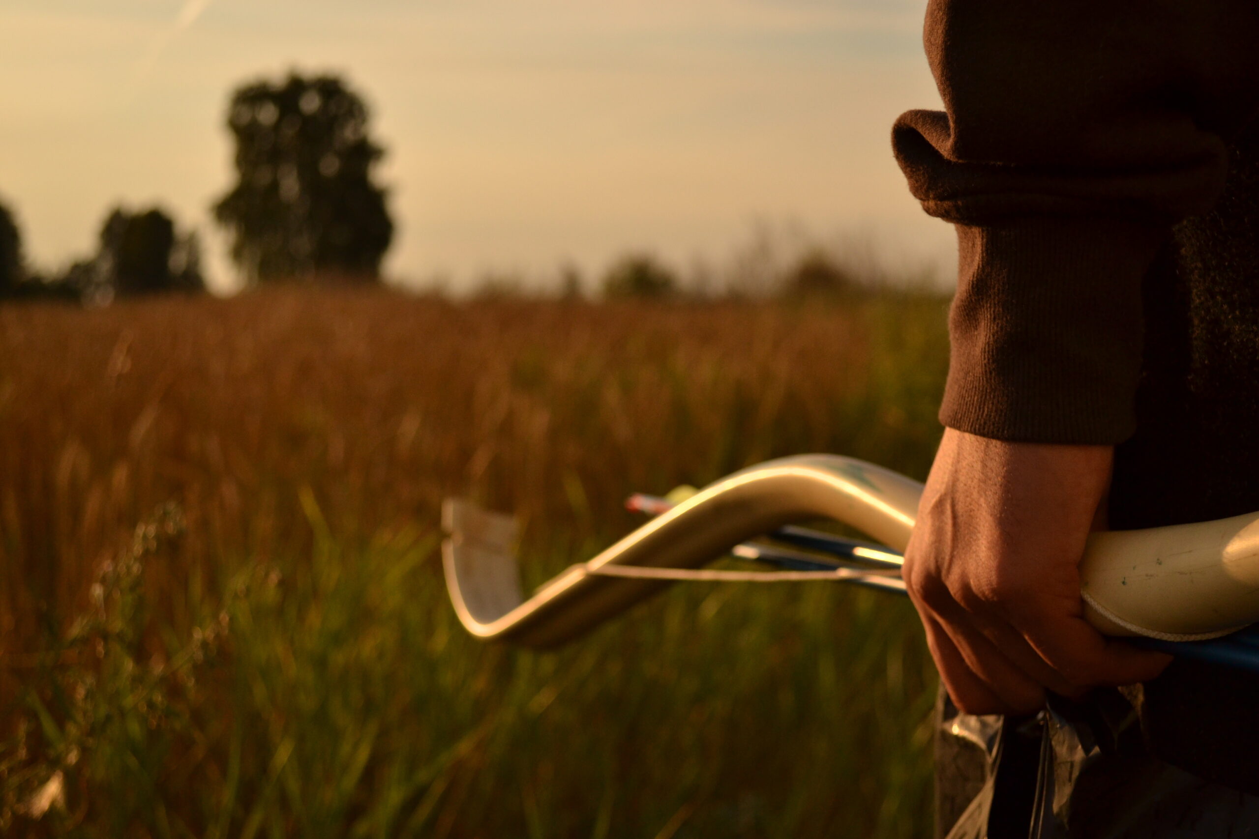 Future War Will Be Fought with Sticks and Stones Image