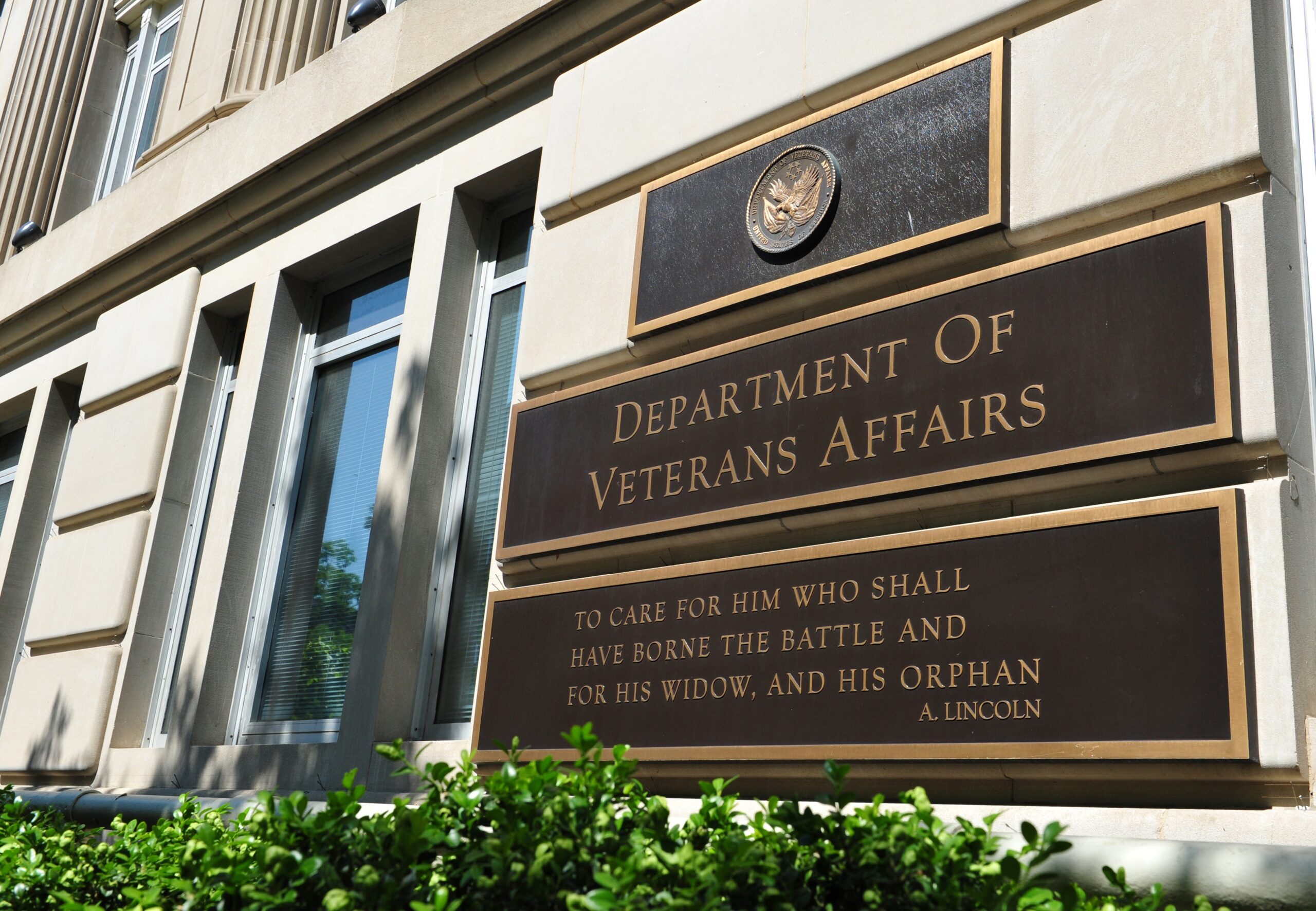 The VA and Artificifial Intelligence Image