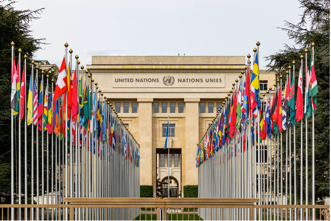 Why the United Nations Still Matters in a Time of War
