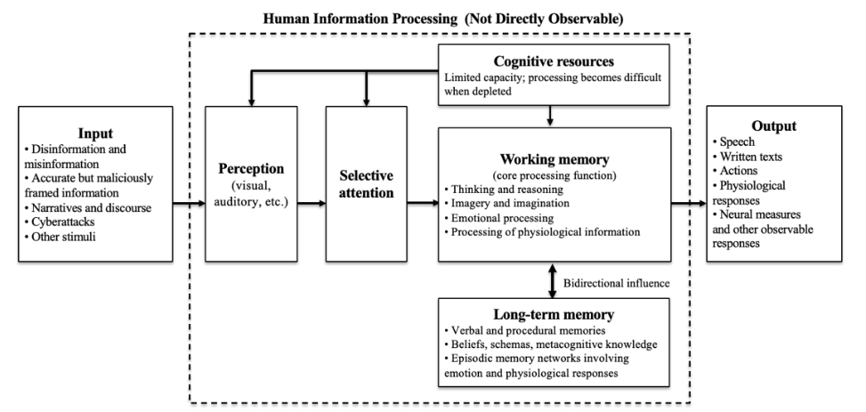 The Black Box Problem in Cognitive Warfare: Why “Targeting Cognition” Is Not Enough
