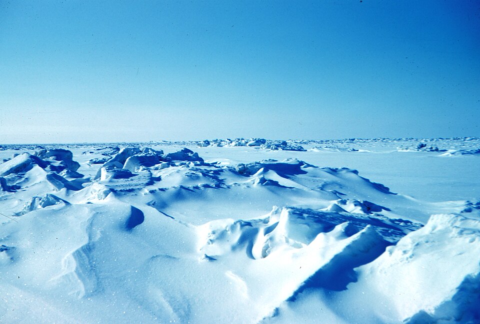 One Game Can’t Answer the Arctic Question: Inside NATO’s Bet on Multi-Level Wargaming Image