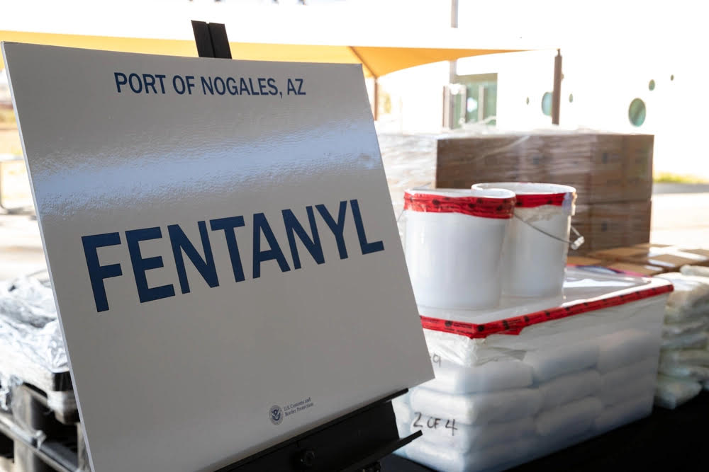 What If We Paid Suppliers to Keep Precursor Chemicals Out of the Illicit Market? Image